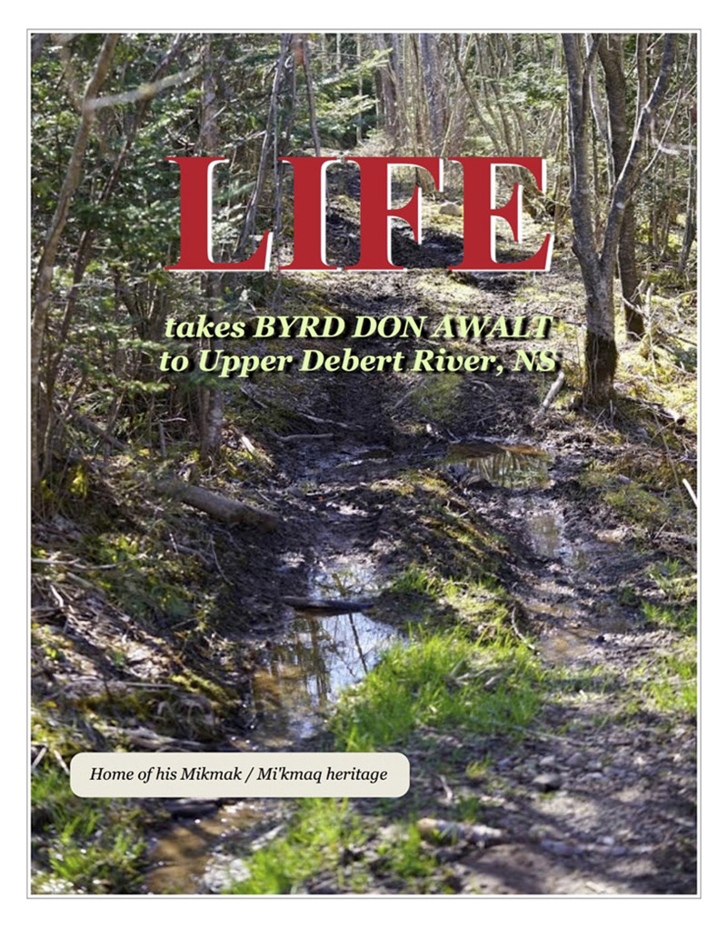 Life Was Calling - Byrd Don Awalt